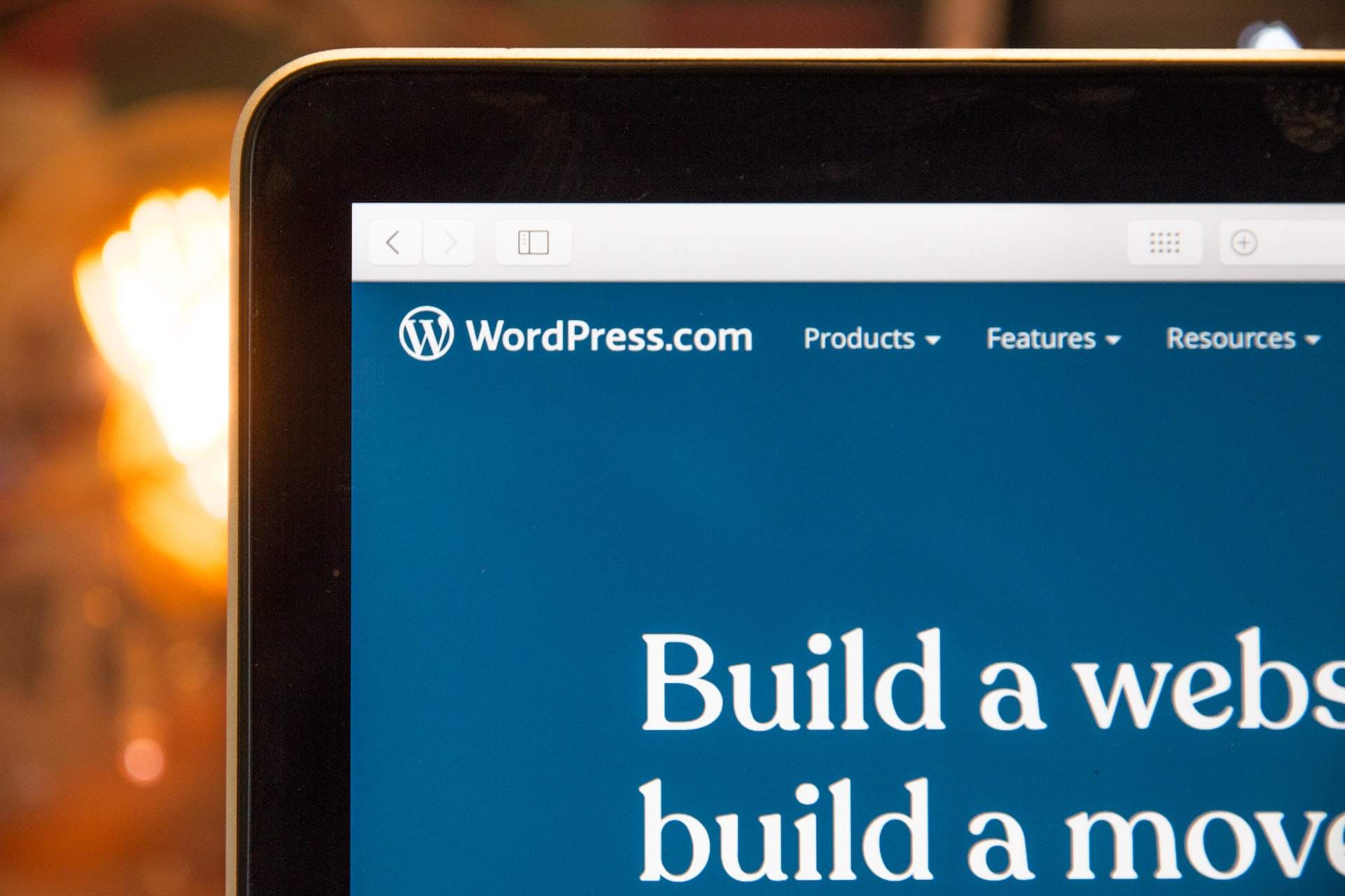 alt="wordpress-website2"